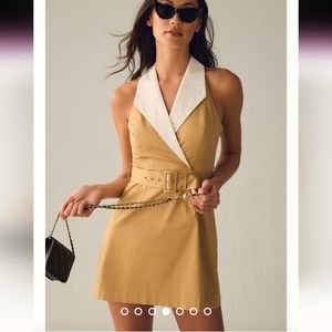 NWT Hutch Sleeveless Collared Dress